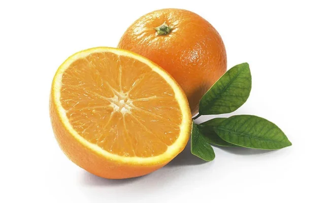 Image_product_5